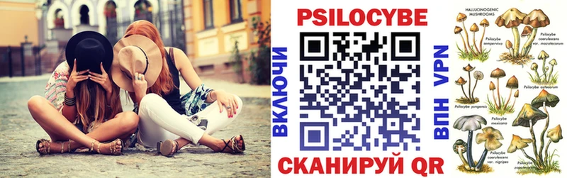 OMG рабочий сайт  Данков  Псилоцибиновые грибы Magic Shrooms 